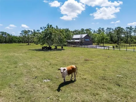 12615 River Road Myakka City FL 34251