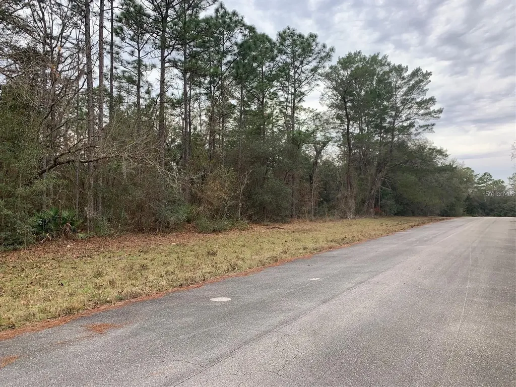 156 Street Ocala FL 34473