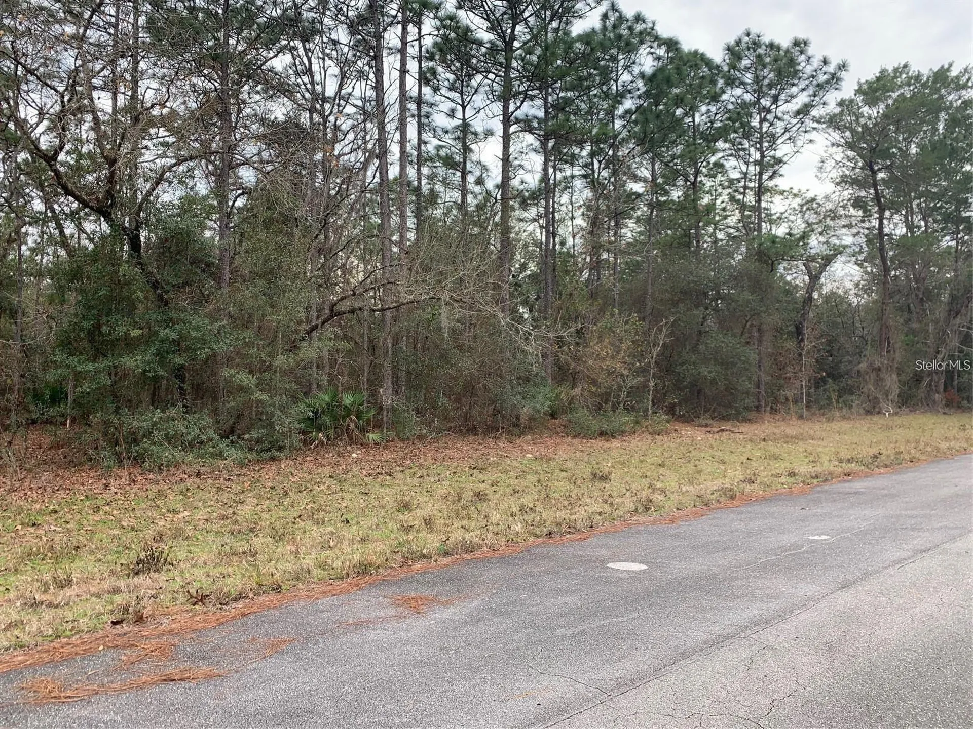 156 Street Ocala FL 34473