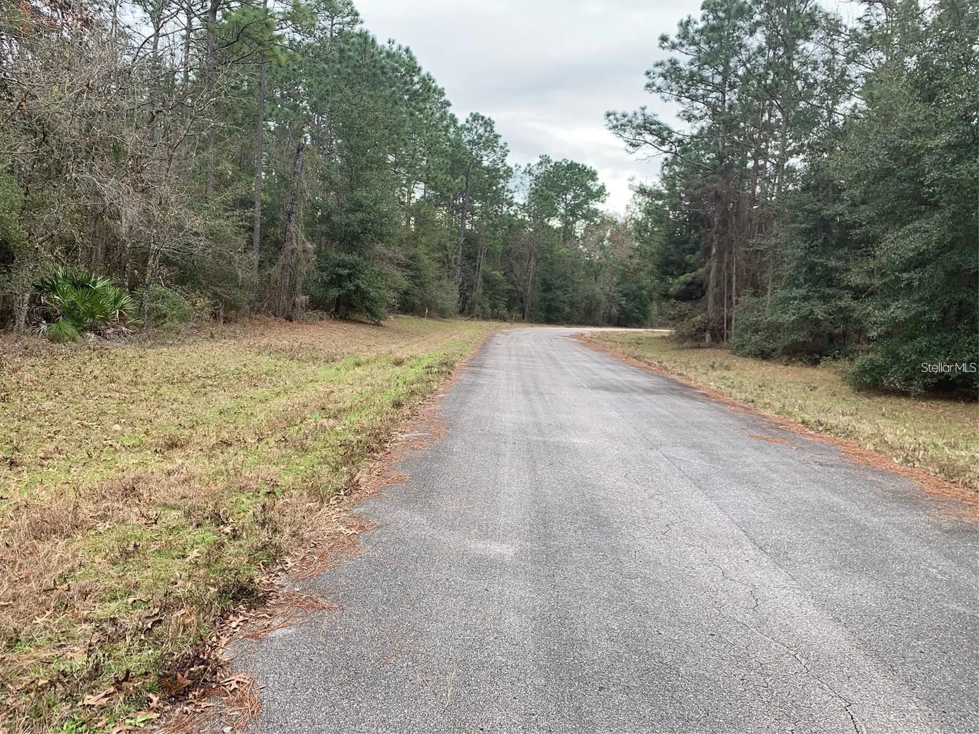 156 Street Ocala FL 34473