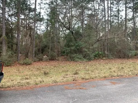 156 Street Ocala FL 34473