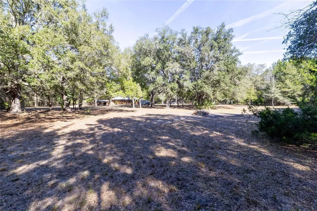 8350 NW 77th Place Chiefland FL 32626