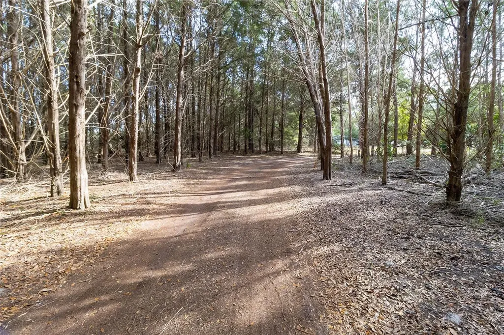 8350 NW 77th Place Chiefland FL 32626