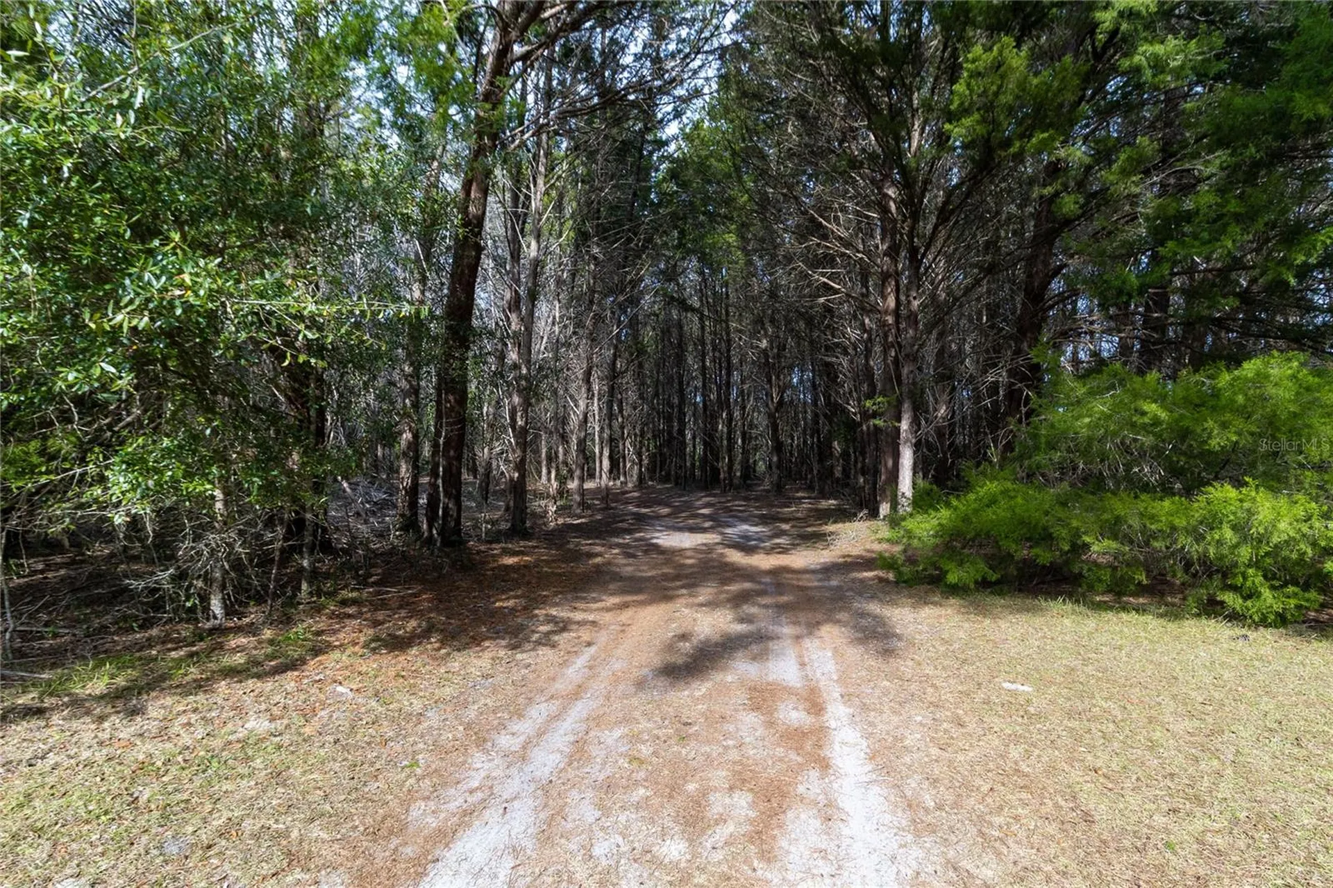 8350 NW 77th Place Chiefland FL 32626