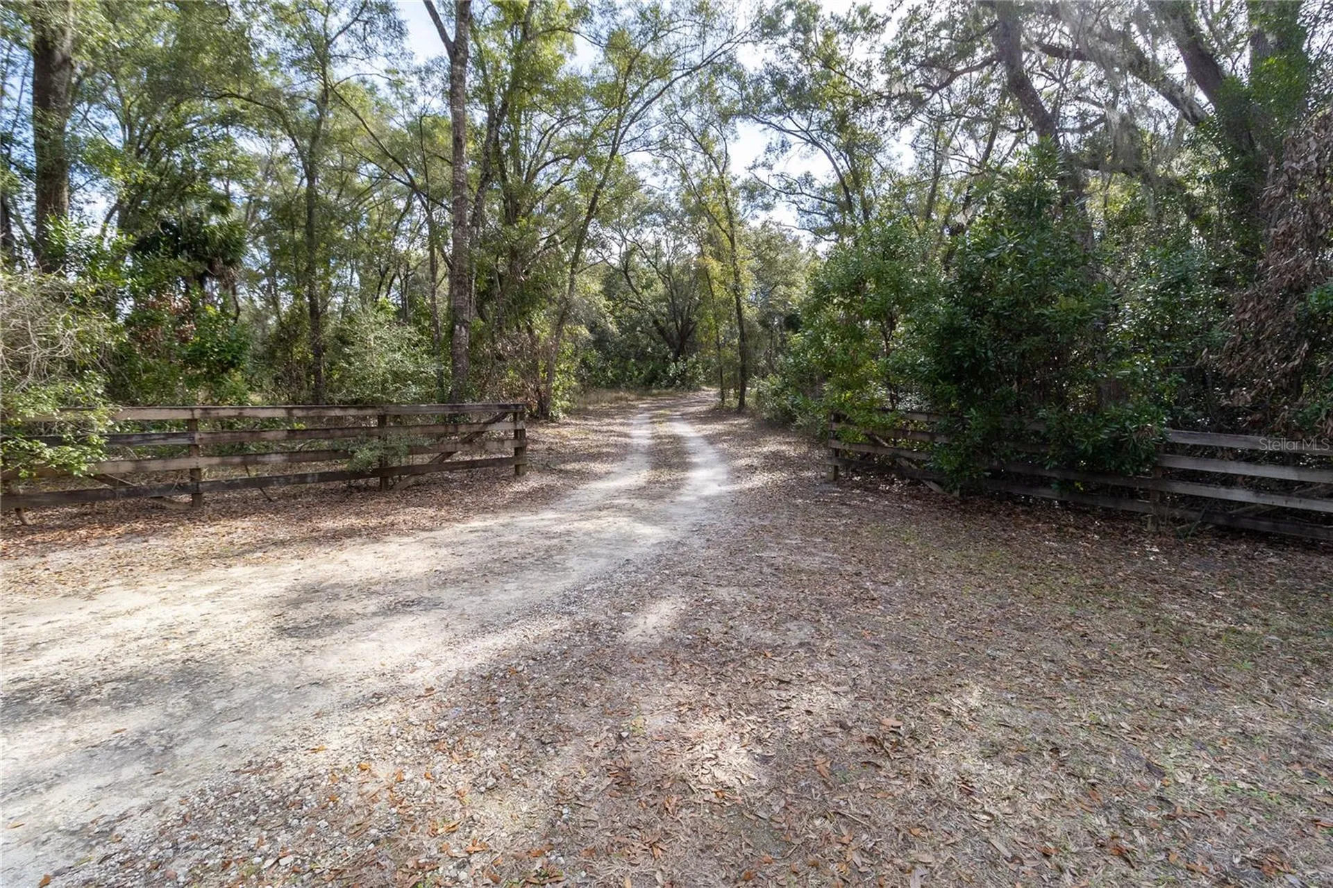 8350 NW 77th Place Chiefland FL 32626