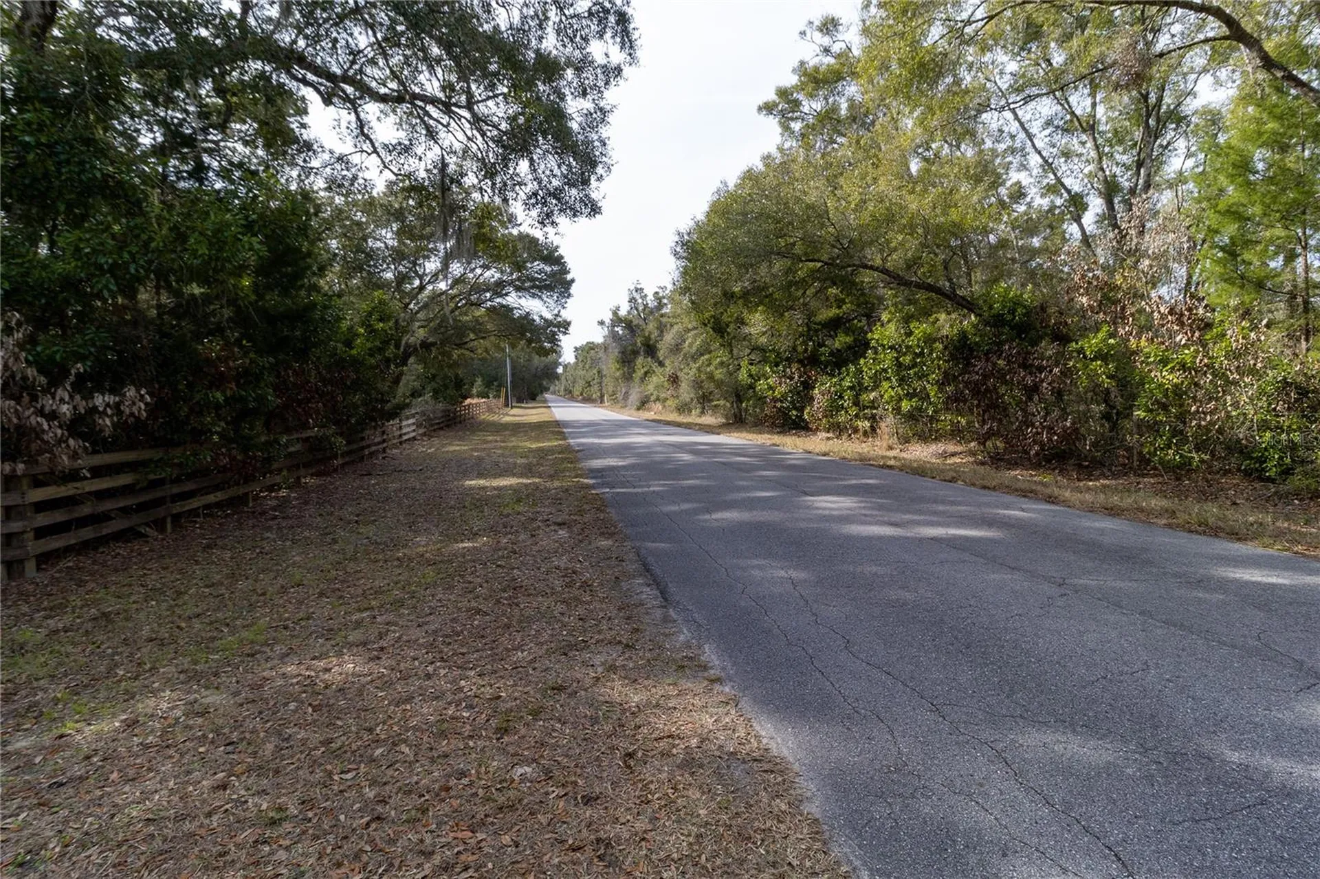 8350 NW 77th Place Chiefland FL 32626