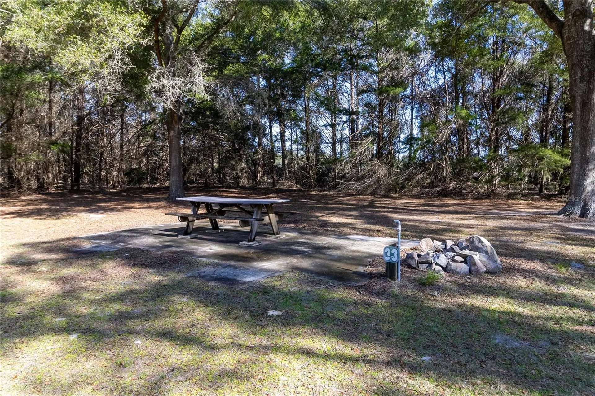 8350 NW 77th Place Chiefland FL 32626