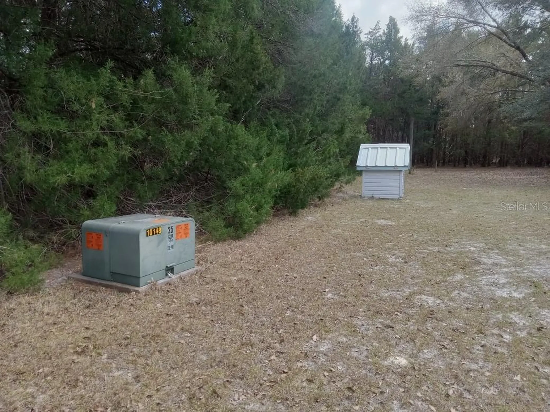 8350 NW 77th Place Chiefland FL 32626