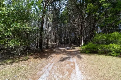 8350 NW 77th Place Chiefland FL 32626