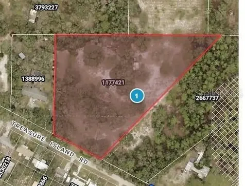 8725 Treasure Island Road Leesburg FL 34788