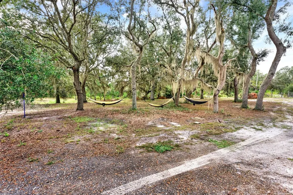 Blackwater Oaks Drive Eustis FL 32736