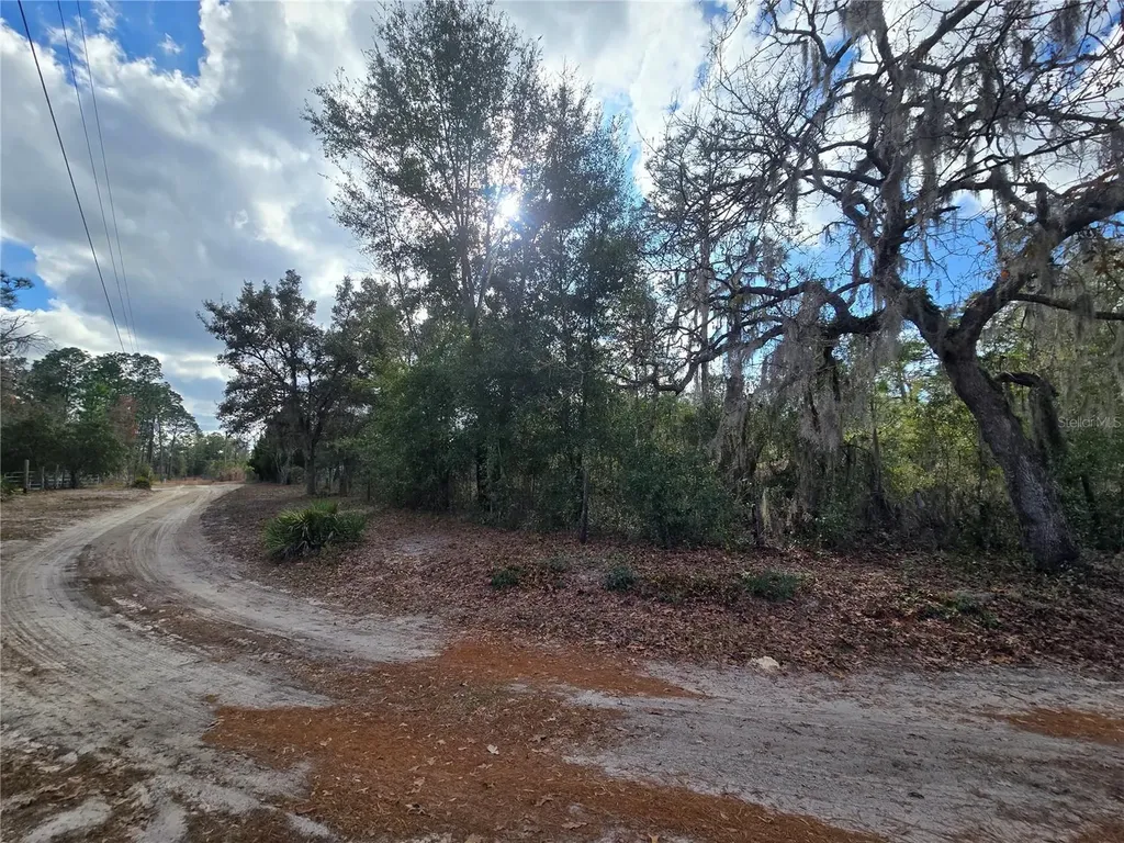 4610 N Ellen Point Crystal River FL 34428