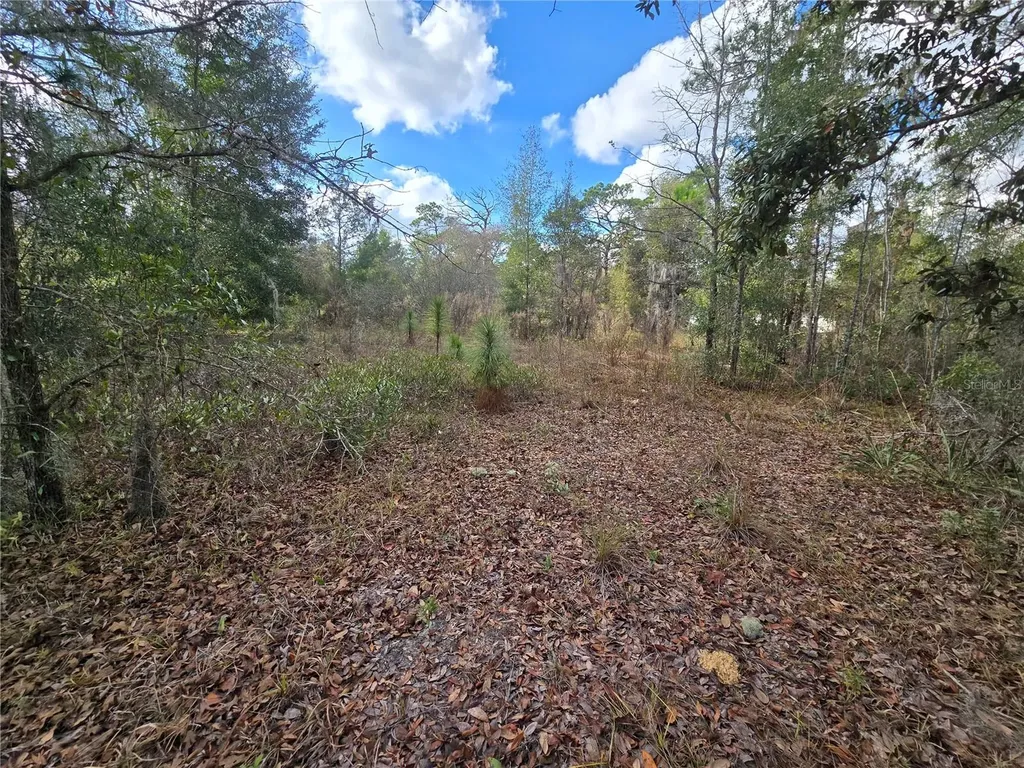4610 N Ellen Point Crystal River FL 34428