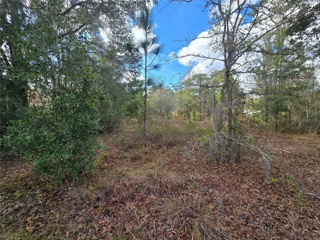 4610 N Ellen Point Crystal River FL 34428