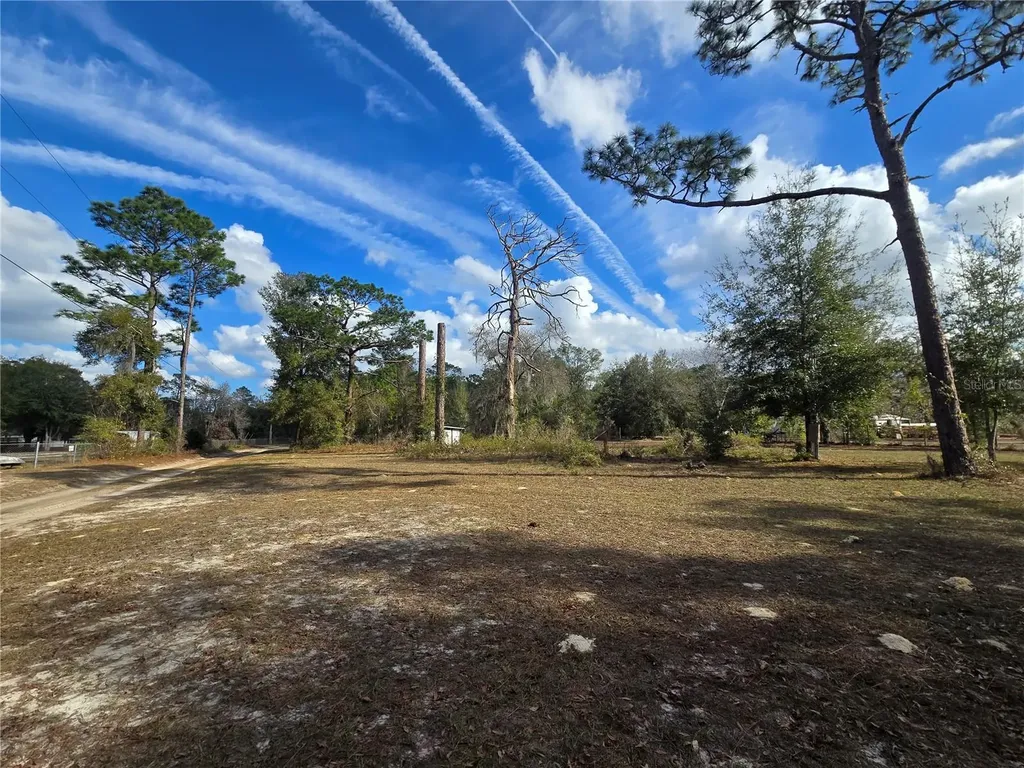 4610 N Ellen Point Crystal River FL 34428