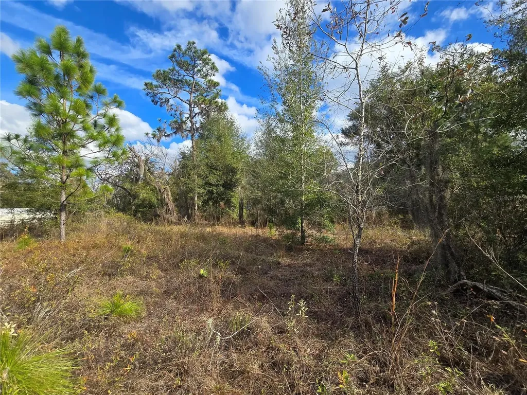 4610 N Ellen Point Crystal River FL 34428