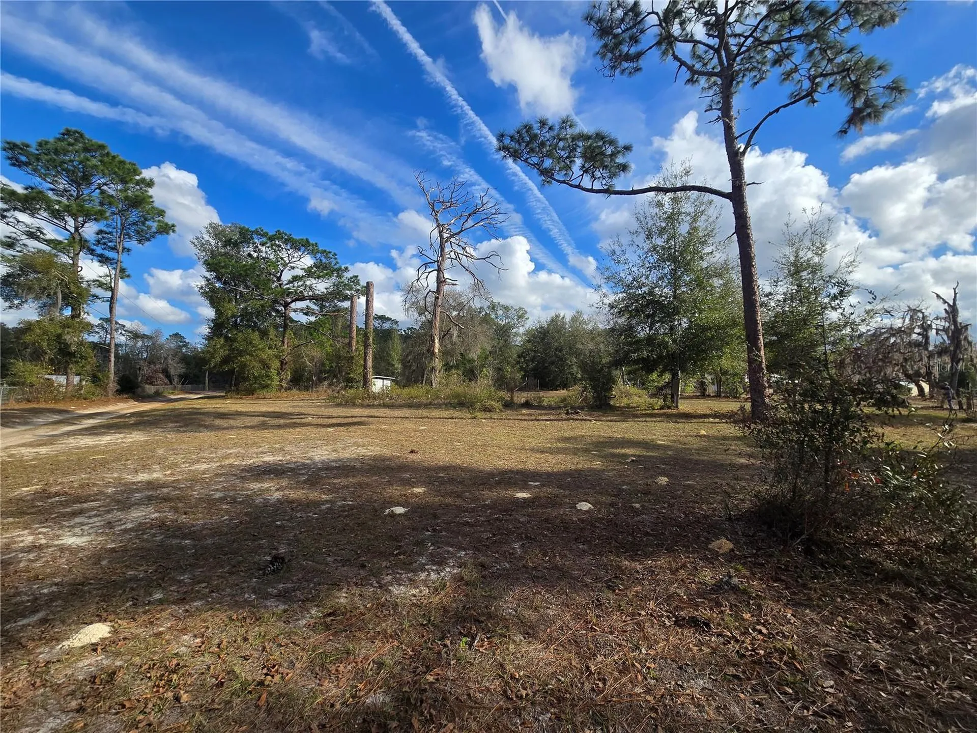 4610 N Ellen Point Crystal River FL 34428