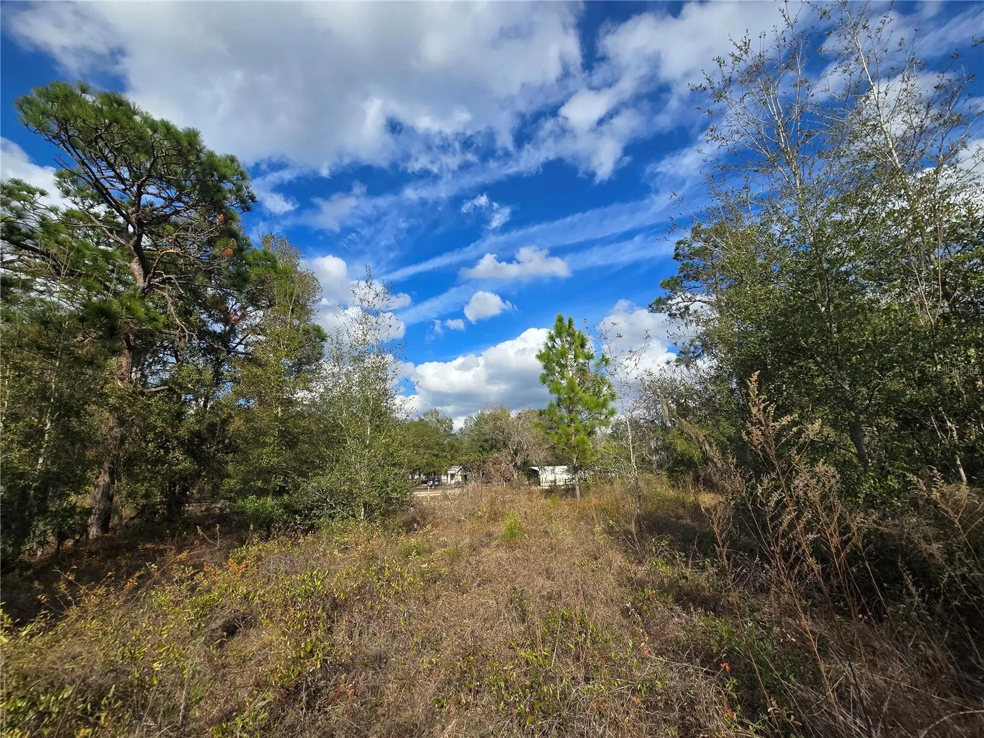 4610 N Ellen Point Crystal River FL 34428