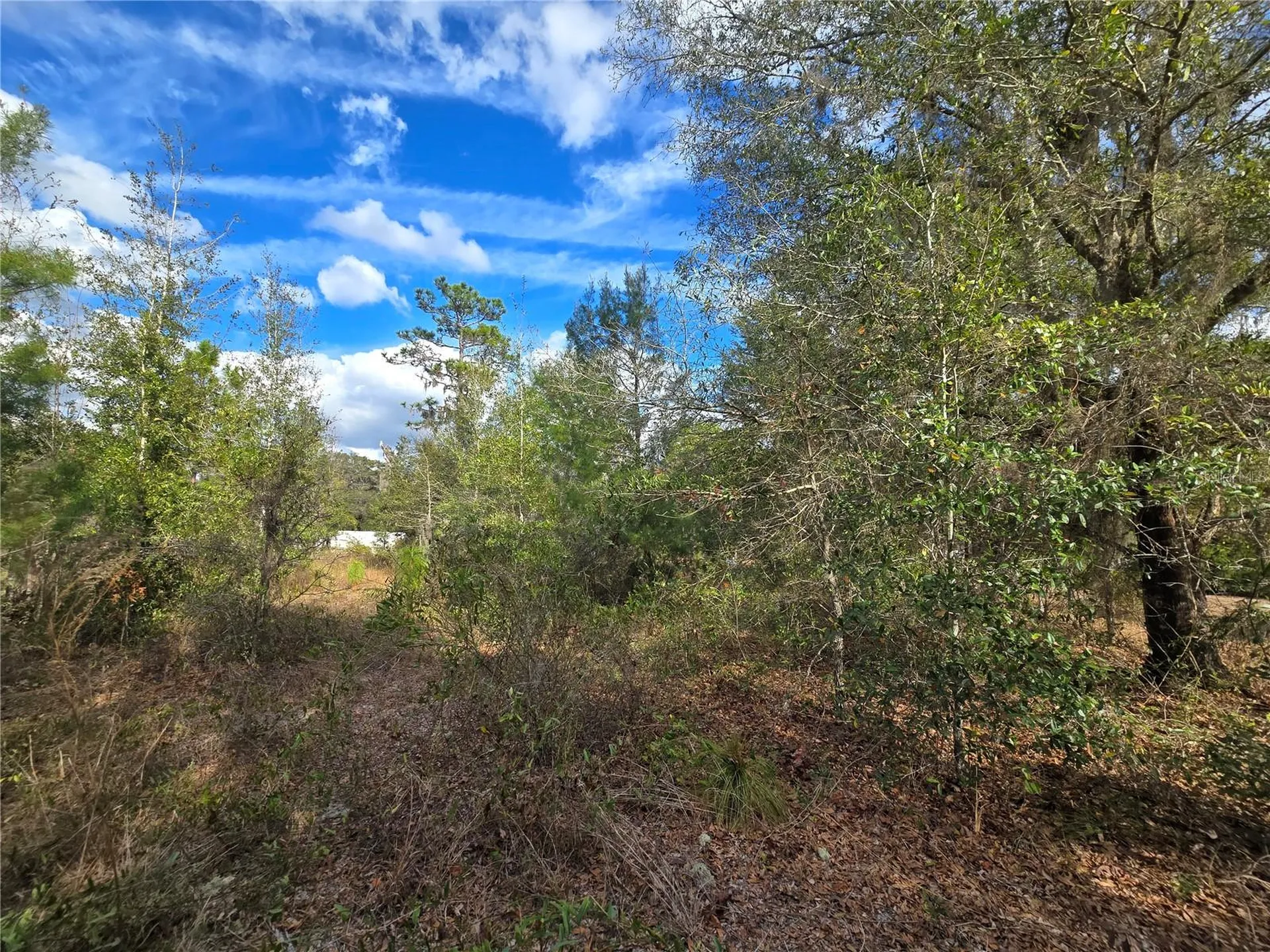 4610 N Ellen Point Crystal River FL 34428