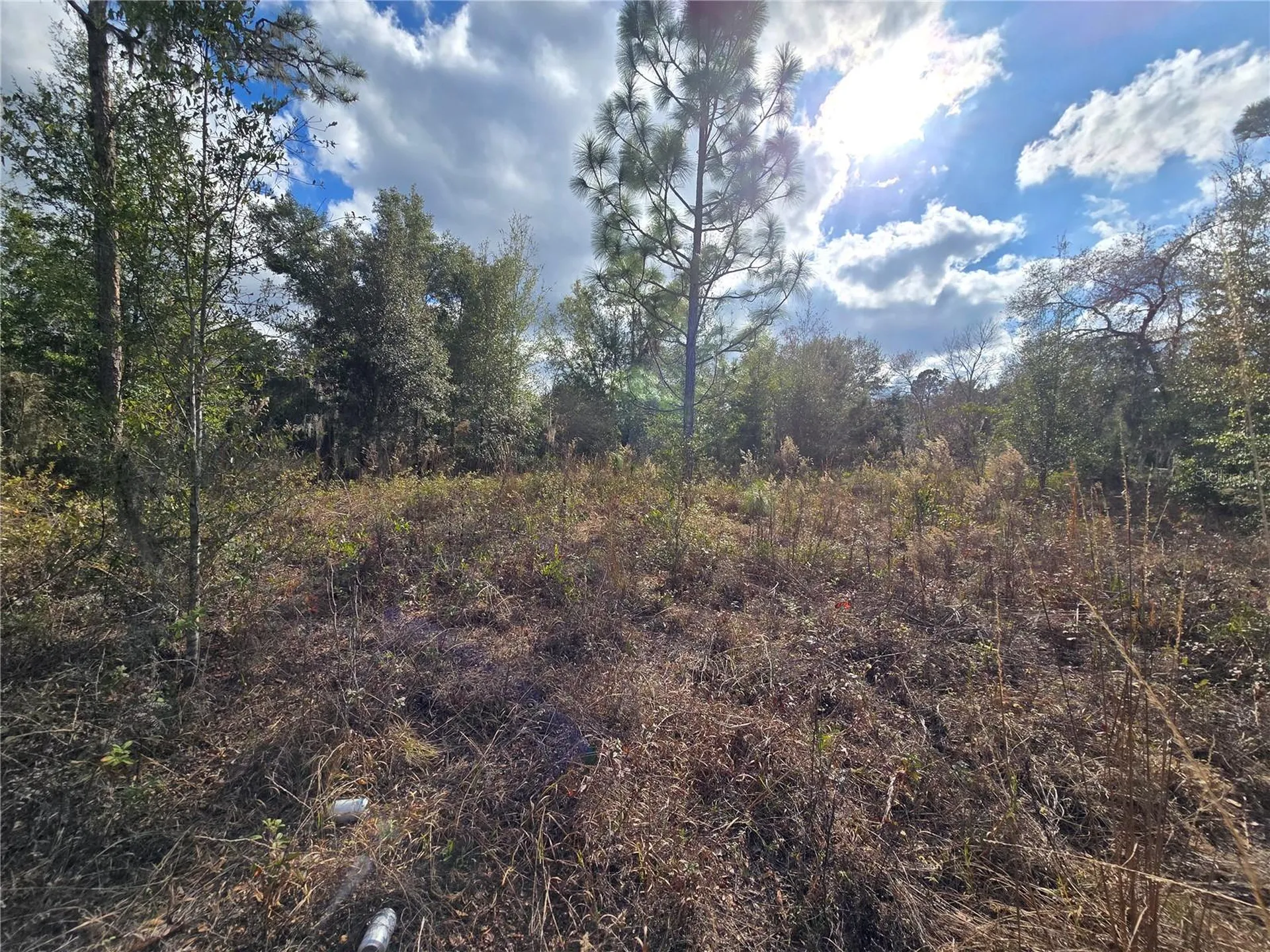 4610 N Ellen Point Crystal River FL 34428