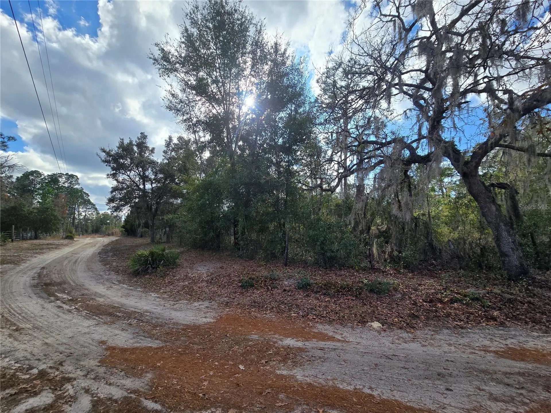 4610 N Ellen Point Crystal River FL 34428