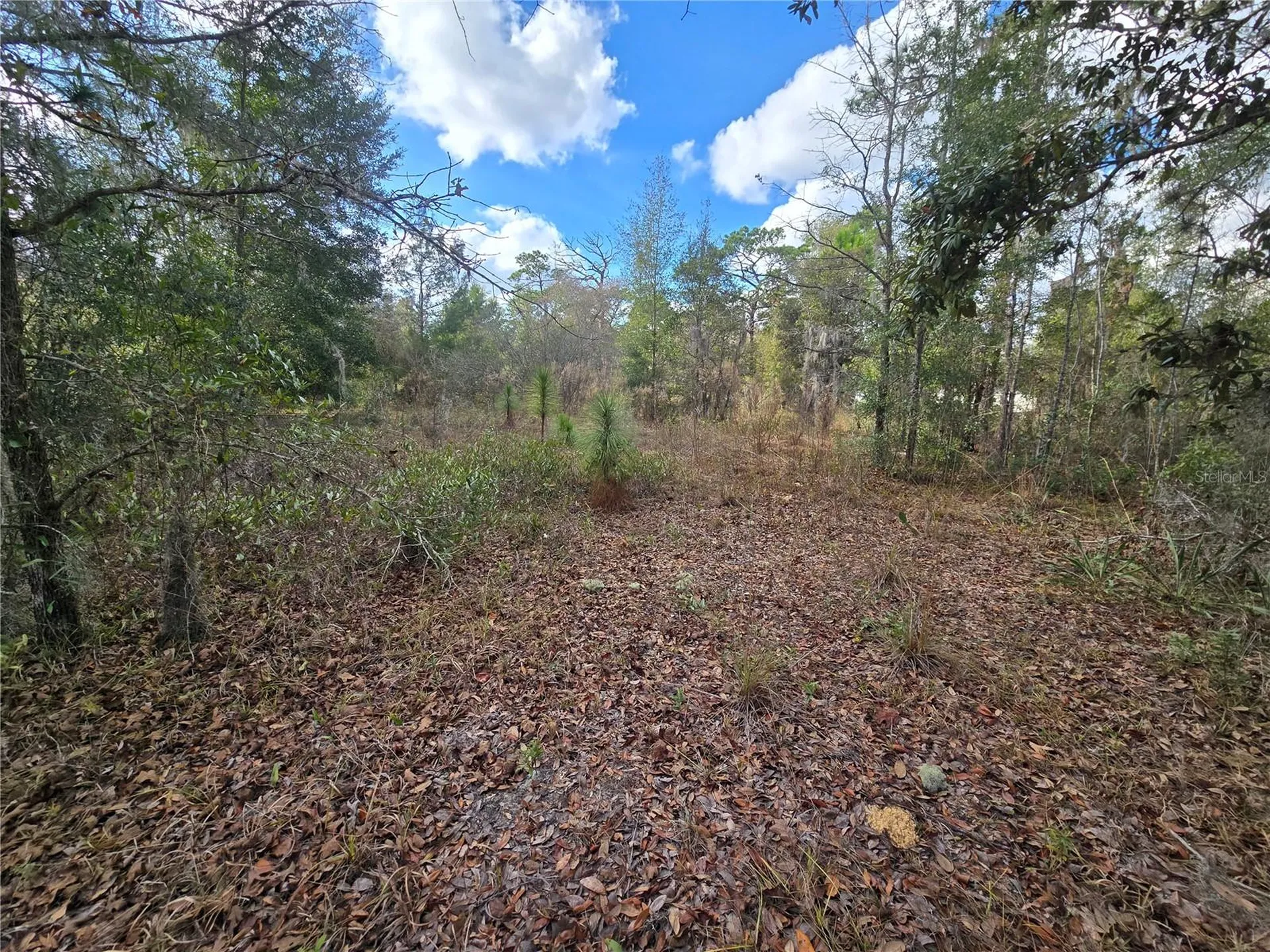 4610 N Ellen Point Crystal River FL 34428
