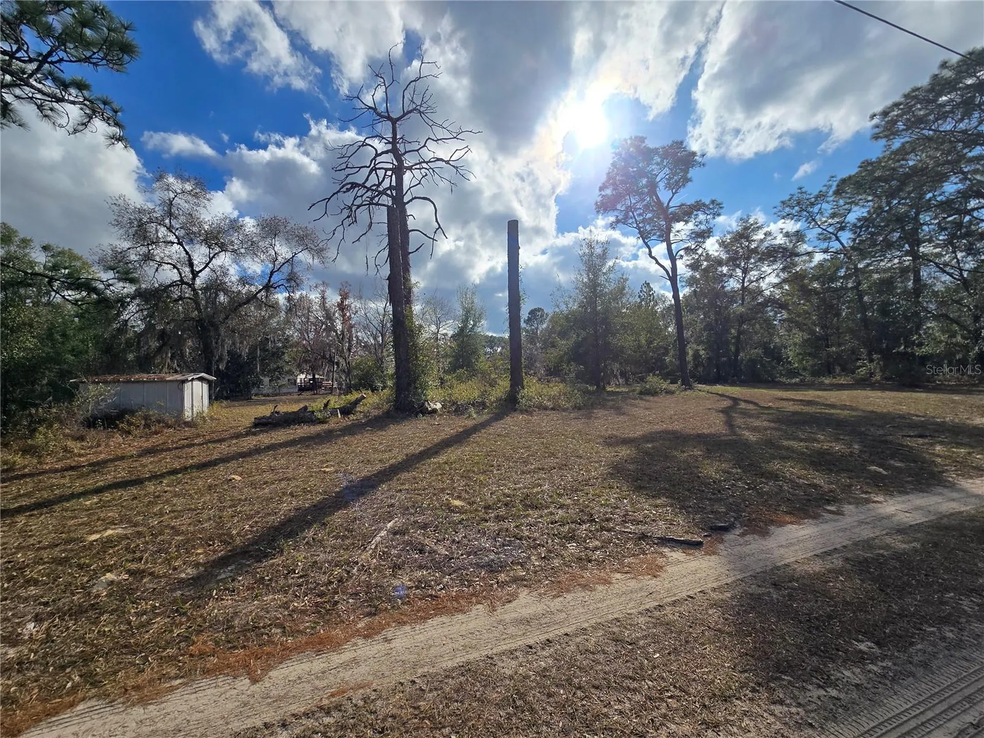 4610 N Ellen Point Crystal River FL 34428