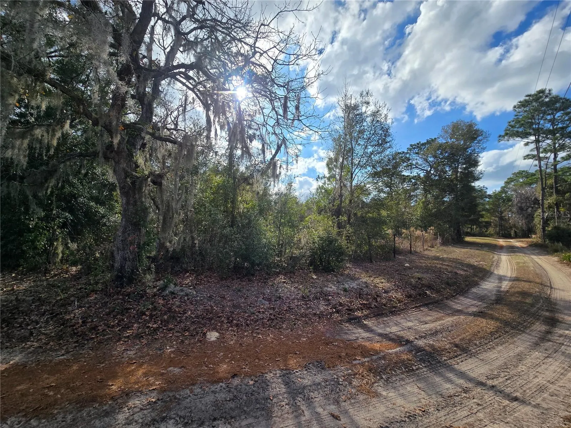 4610 N Ellen Point Crystal River FL 34428