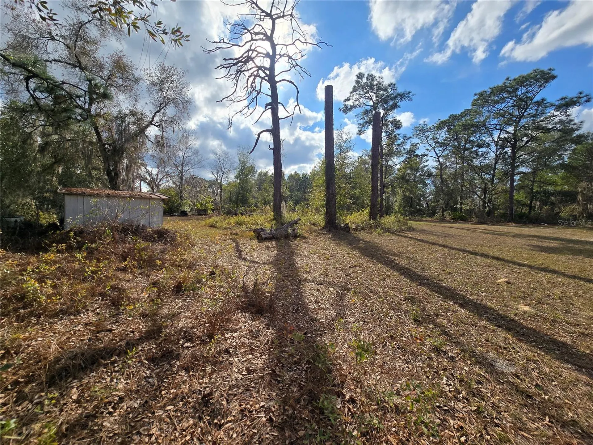 4610 N Ellen Point Crystal River FL 34428