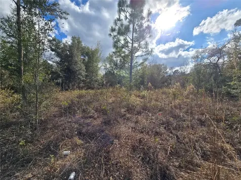 4610 N Ellen Point Crystal River FL 34428