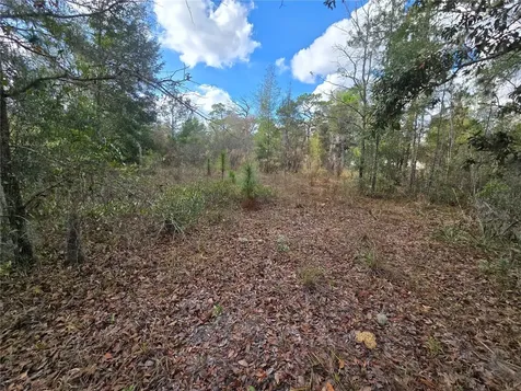 4610 N Ellen Point Crystal River FL 34428