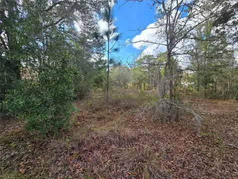 4610 N Ellen Point Crystal River FL 34428