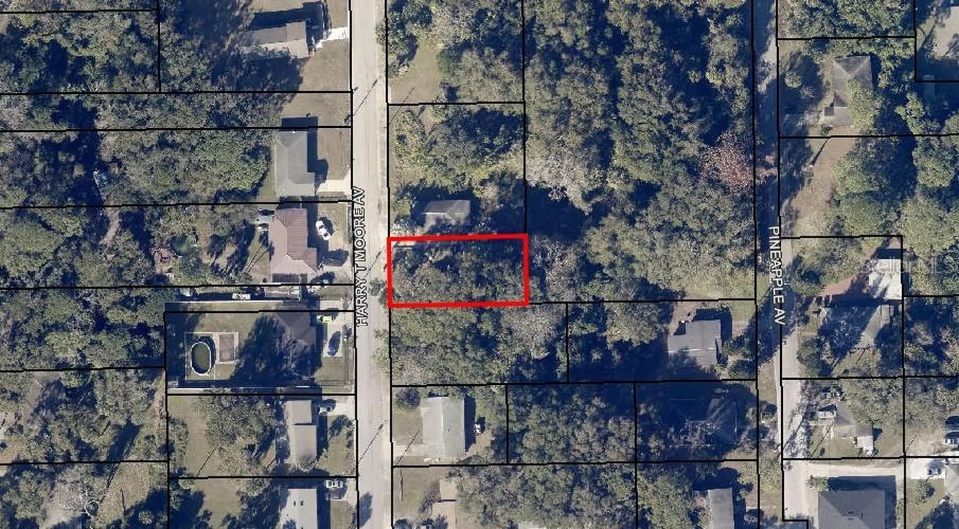 2735 Harry T Moore Avenue Mims FL 32754