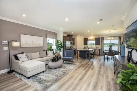 10623 Ironwood Tree Way San Antonio FL 33576
