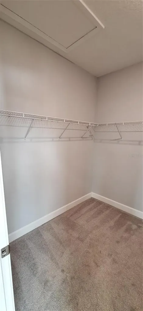 13703 Lippman Alley Orlando FL 32827