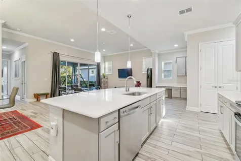 6036 Plover Meadow Street Lithia FL 33547