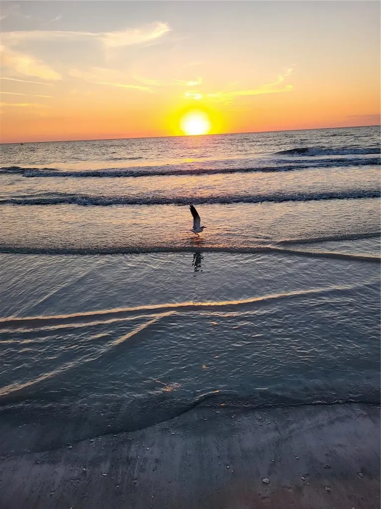 19701 Gulf Boulevard Indian Shores FL 33785