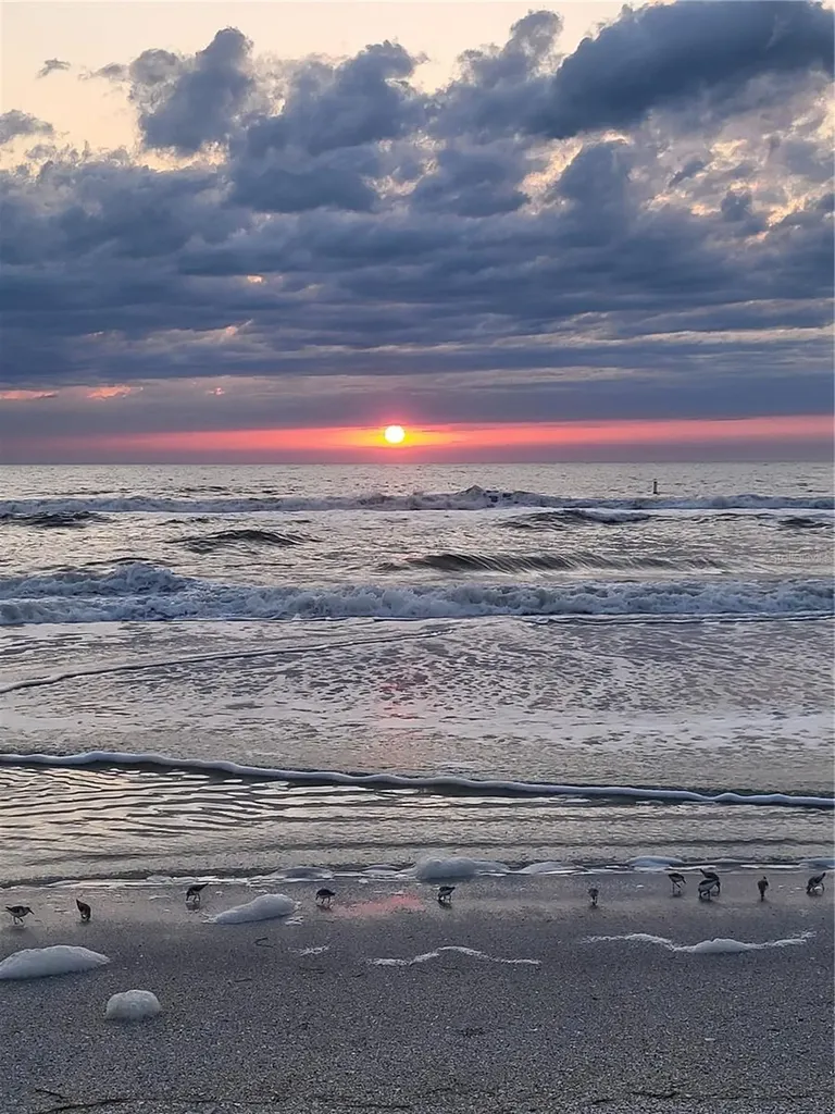 19701 Gulf Boulevard Indian Shores FL 33785