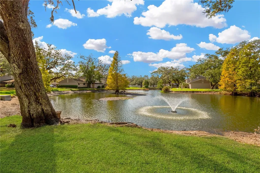 8014 Peach Drive Temple Terrace FL 33637
