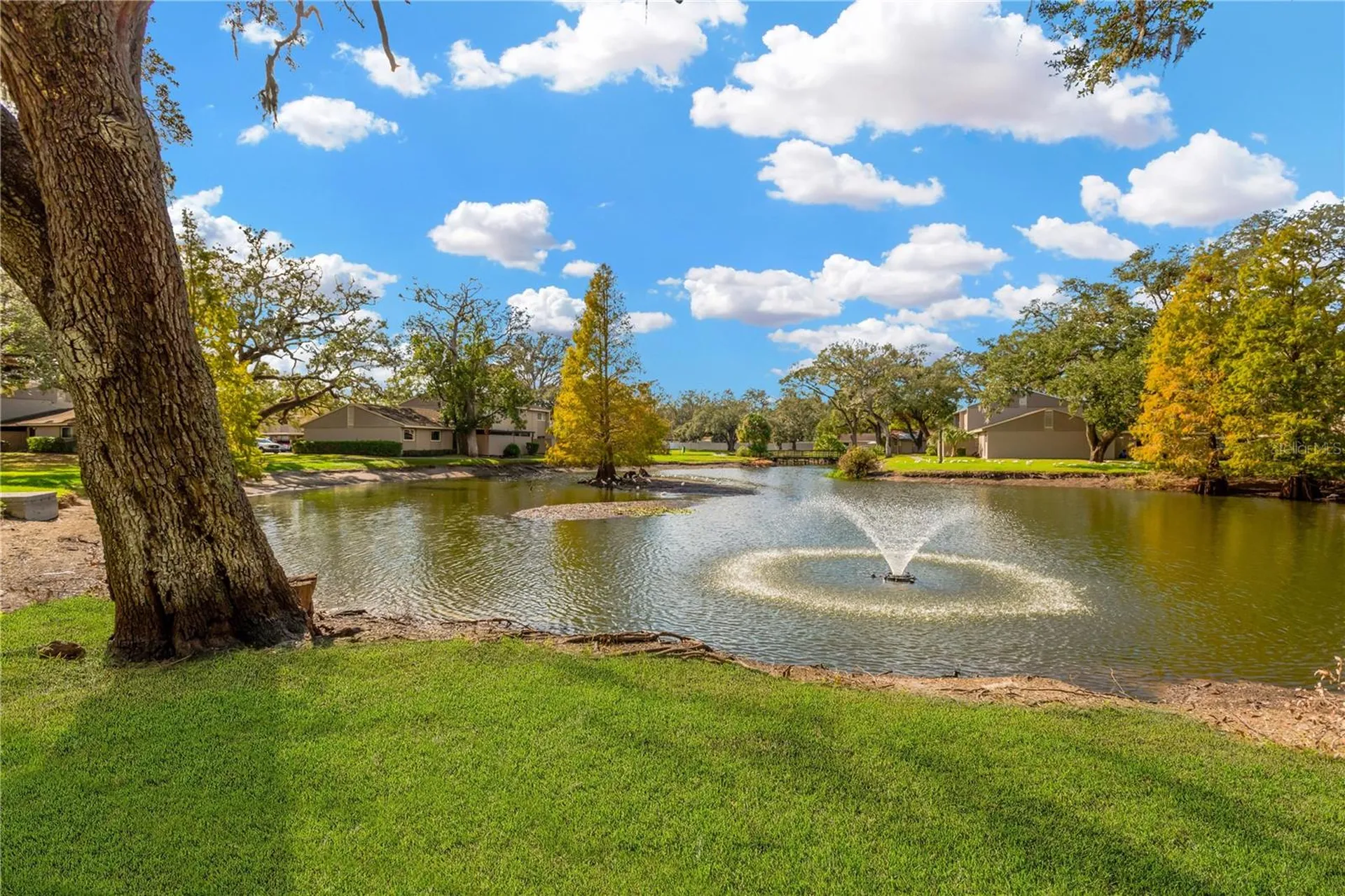 8014 Peach Drive Temple Terrace FL 33637