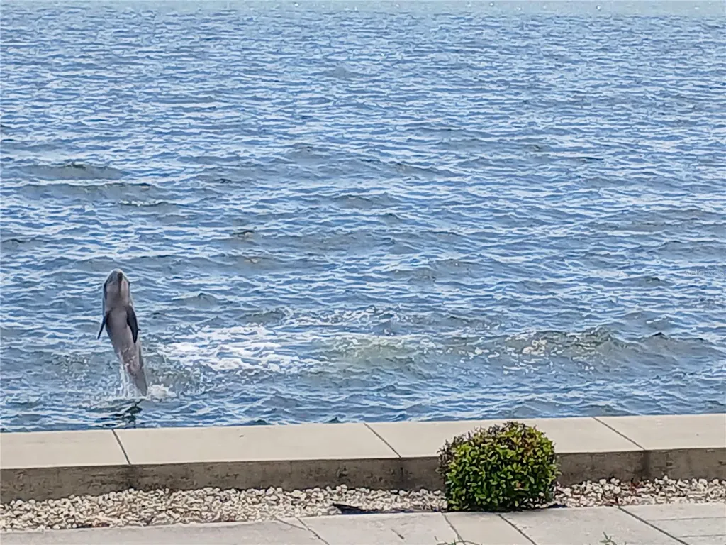 19029 Us Highway 19 N Clearwater FL 33764