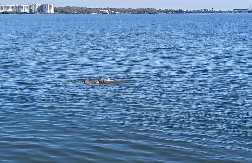 19029 Us Highway 19 N Clearwater FL 33764