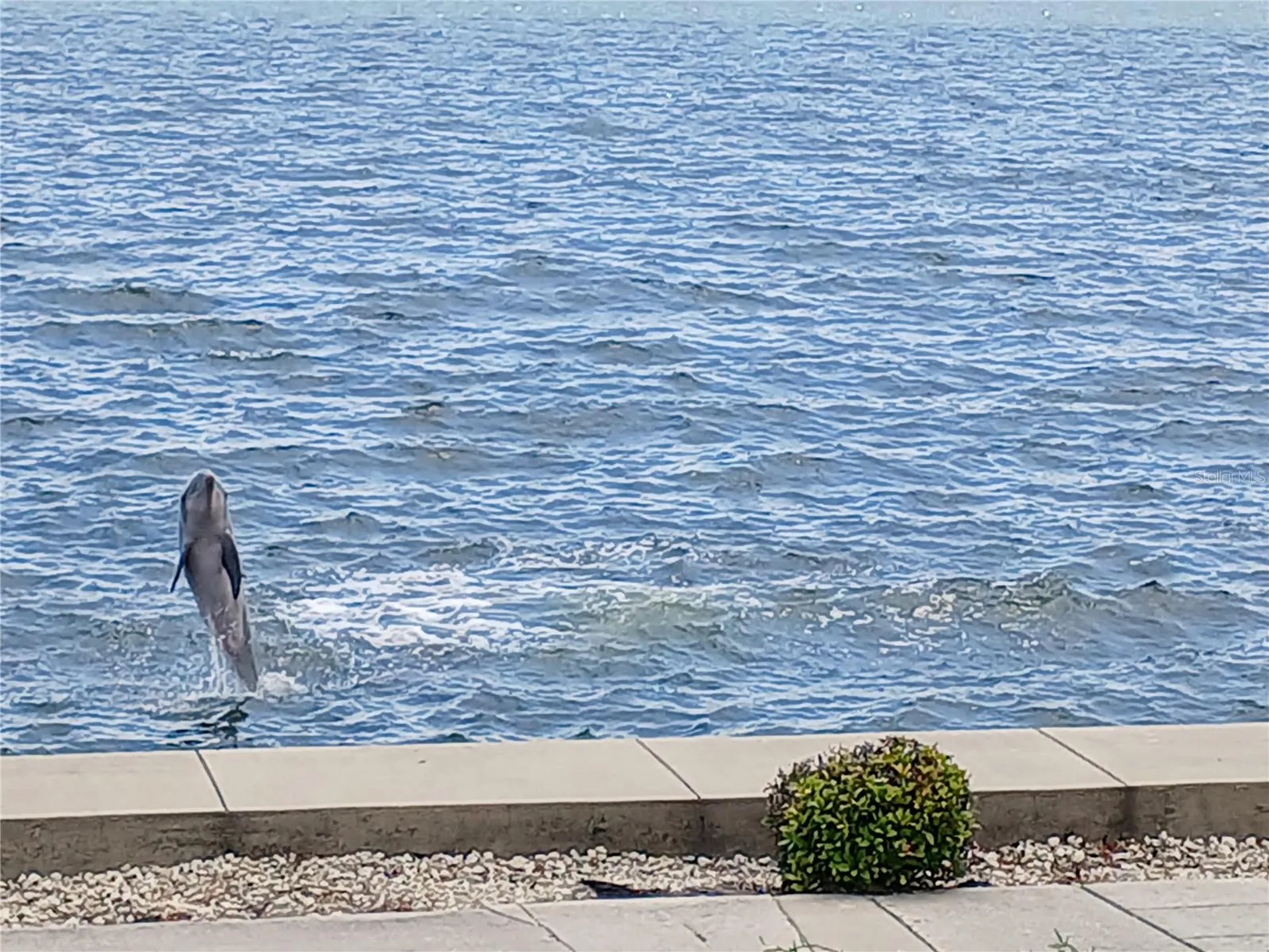 19029 Us Highway 19 N Clearwater FL 33764