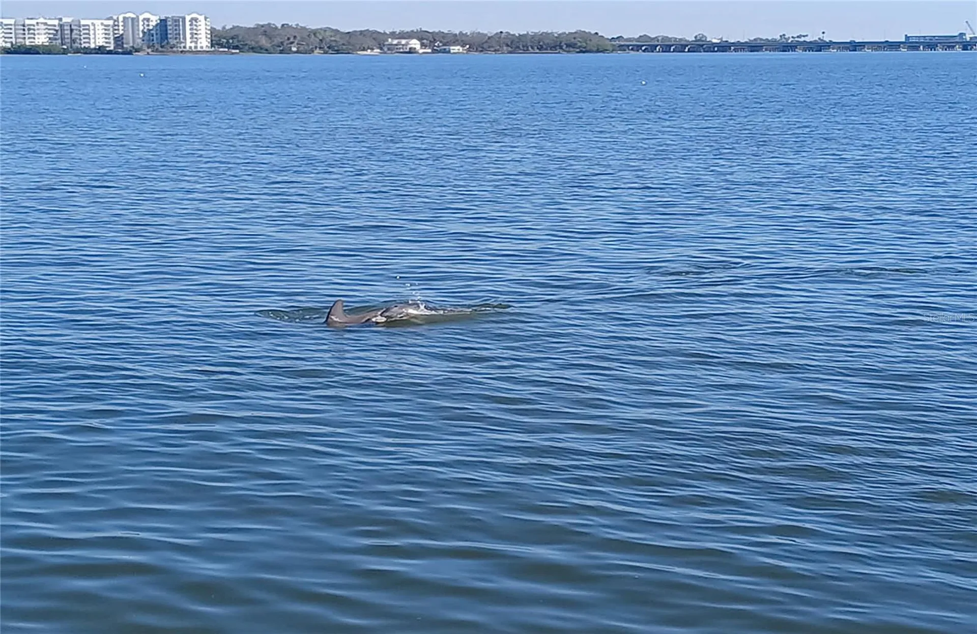 19029 Us Highway 19 N Clearwater FL 33764