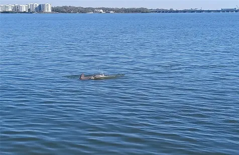 19029 Us Highway 19 N Clearwater FL 33764