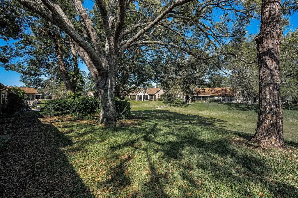 9713 Sweeping View Drive New Port Richey FL 34655