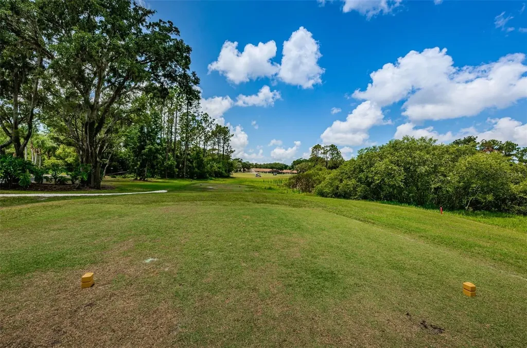 9713 Sweeping View Drive New Port Richey FL 34655