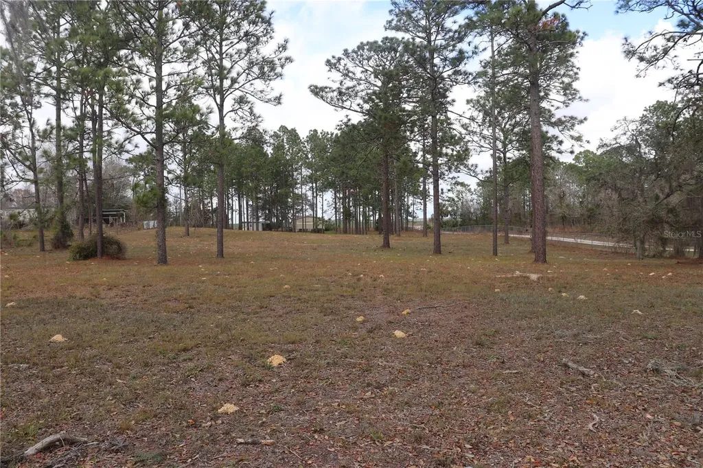 2090 SE 133rd Court Morriston FL 32668