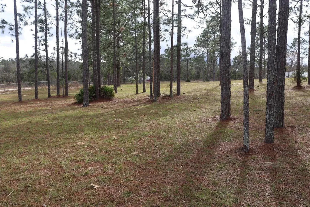2090 SE 133rd Court Morriston FL 32668