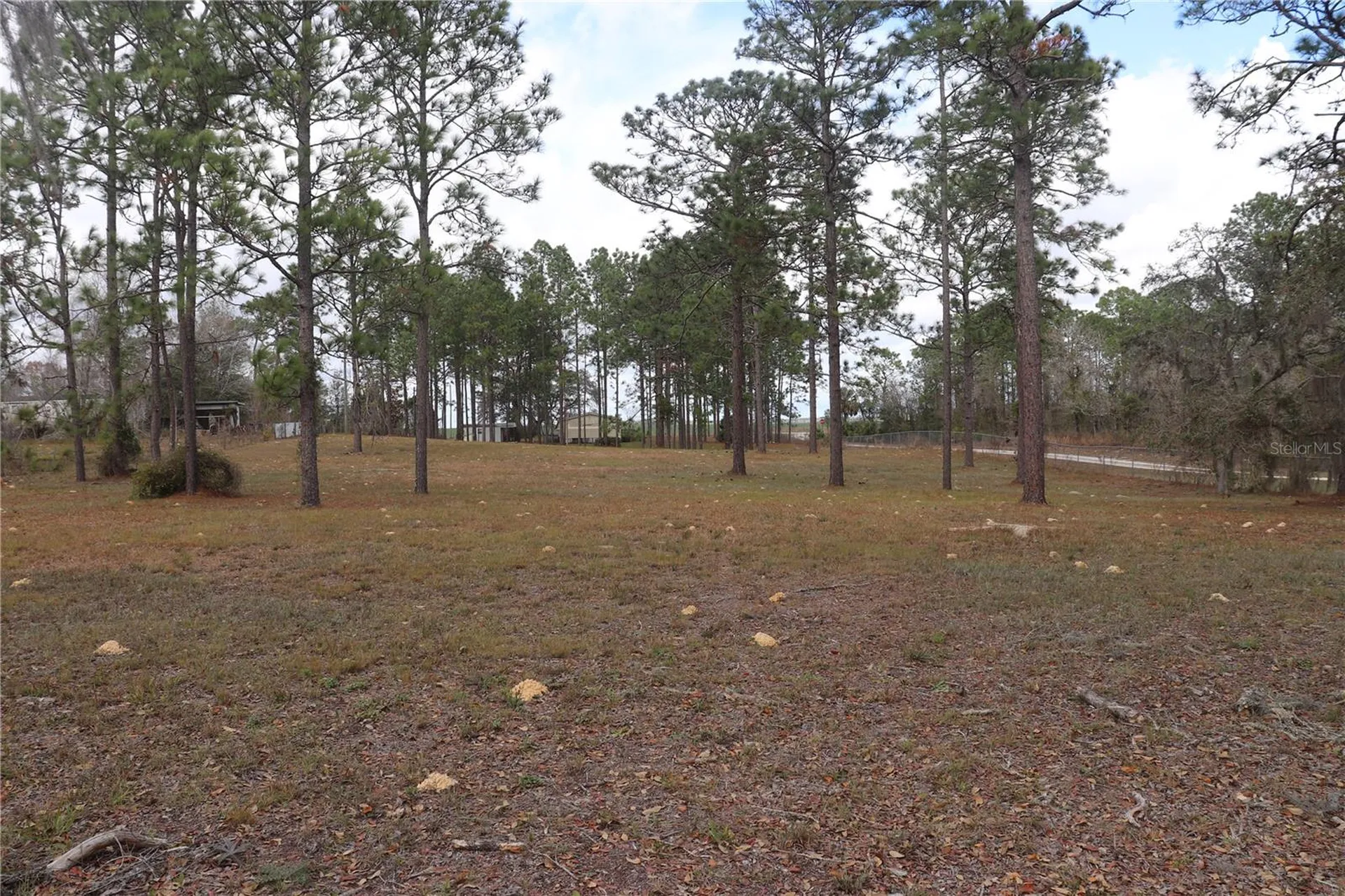 2090 SE 133rd Court Morriston FL 32668